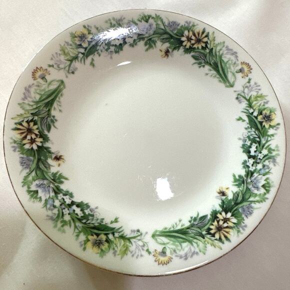 Replacement 3 dessert plates.1 cup saucer VTG china with green floral pattern, - Picture 6 of 6